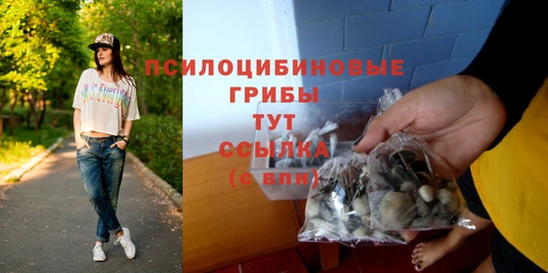 хмурый Краснотурьинск