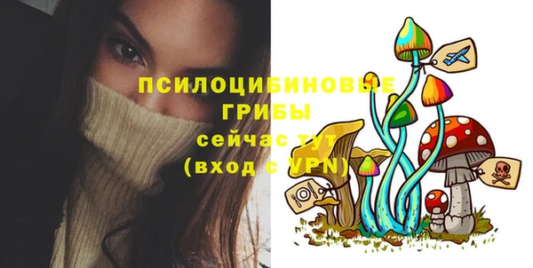 хмурый Краснотурьинск