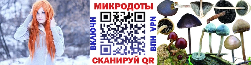 Купить закладки  Камызяк  Псилоцибиновые грибы Psilocybe 
